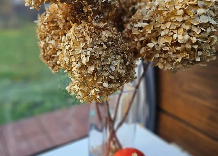 Strefa Relaxu U Jj Hébergement de vacances Powalki